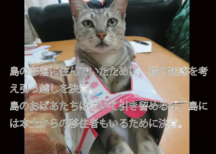 Okinawa Freedom