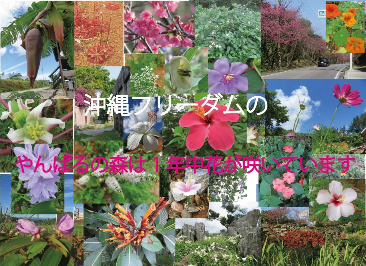 Lodge Okinawa Freedom *