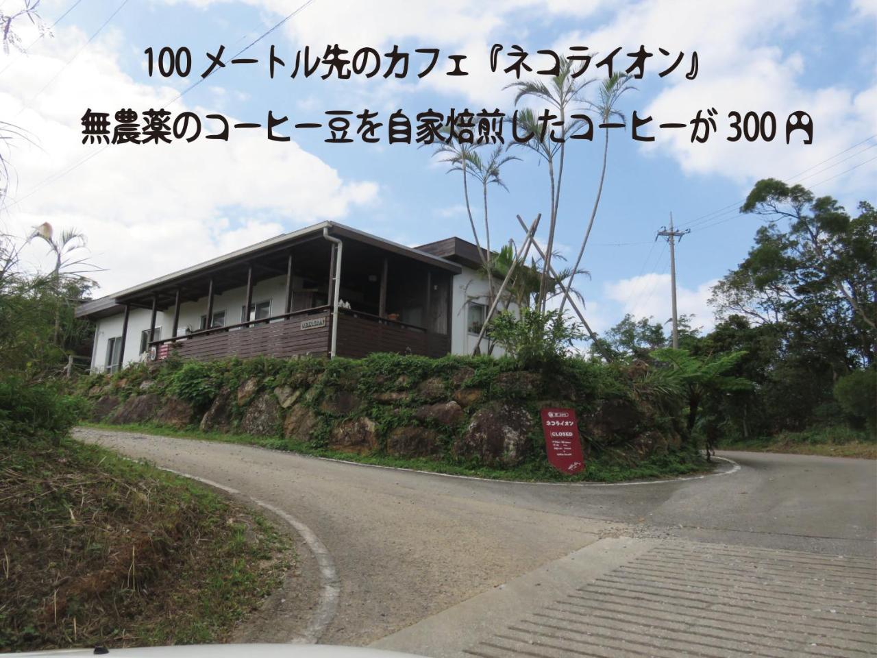 Okinawa Freedom
