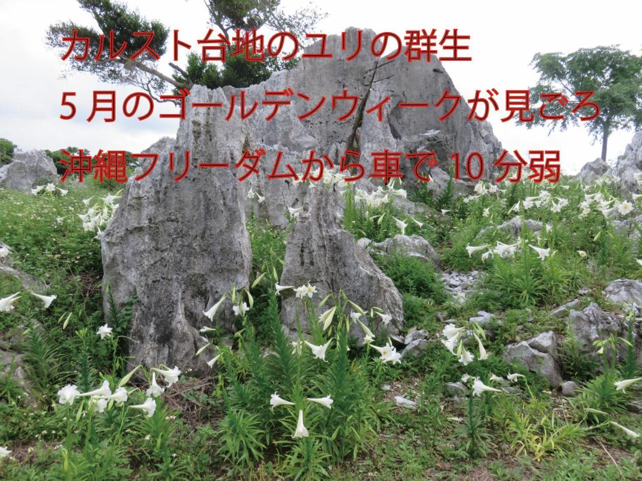 Okinawa Freedom * Nakijin