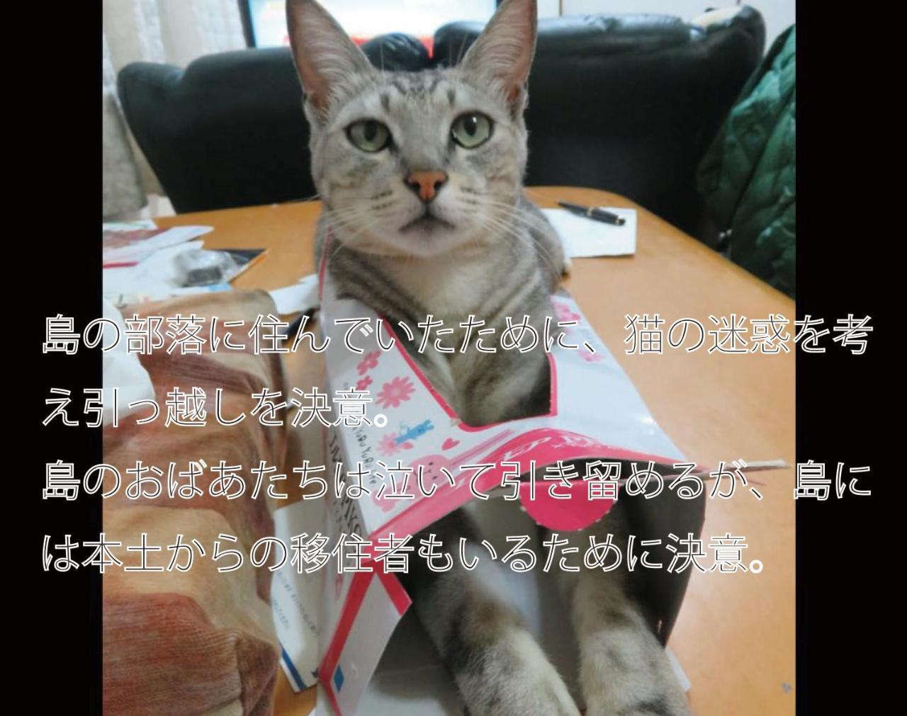 Okinawa Freedom